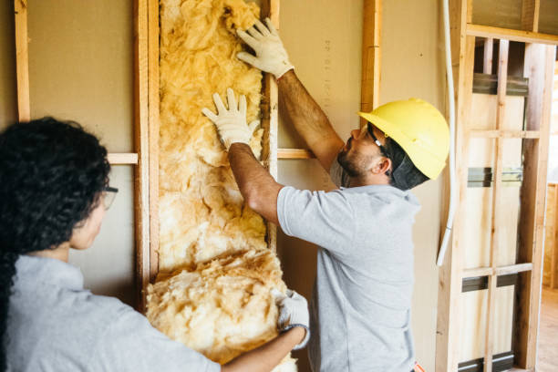 Best Local Insulation Services  in Rockwell, NC