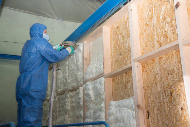 Best Insulation Removal  in Rockwell, NC